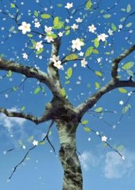 个人短篇灵感合集 个人短篇灵感合集